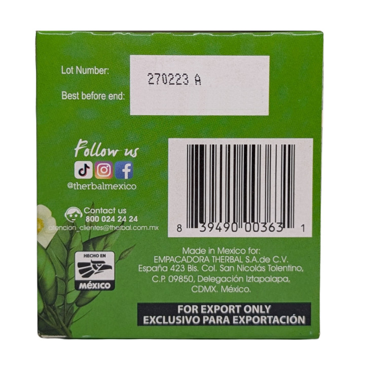 Té verde herbal - 100 % Camellia sinensis - 20 bolsitas de té