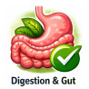 Digestion & Gut Health